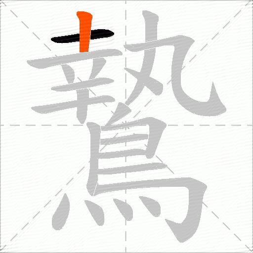 鷙
