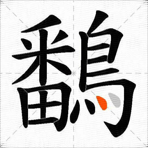 鷭