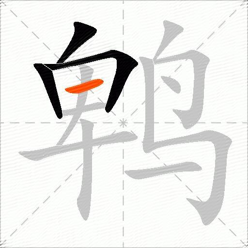 鹎