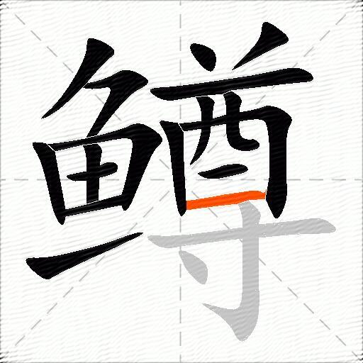 鳟