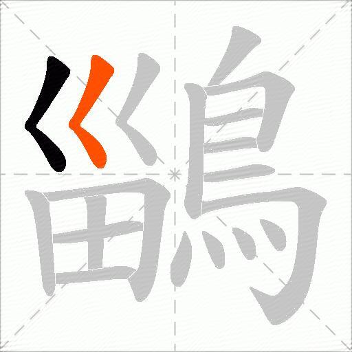 鶅
