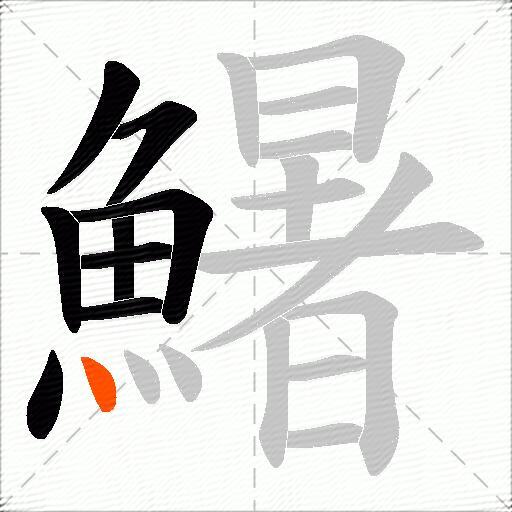 鱪