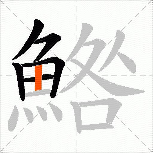 鯦