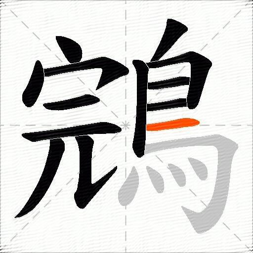 鵍