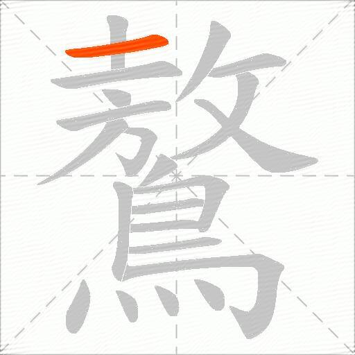 鷔