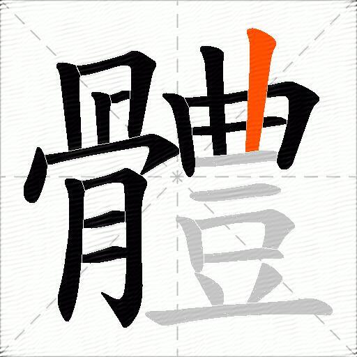 體
