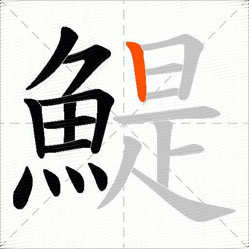 鯷