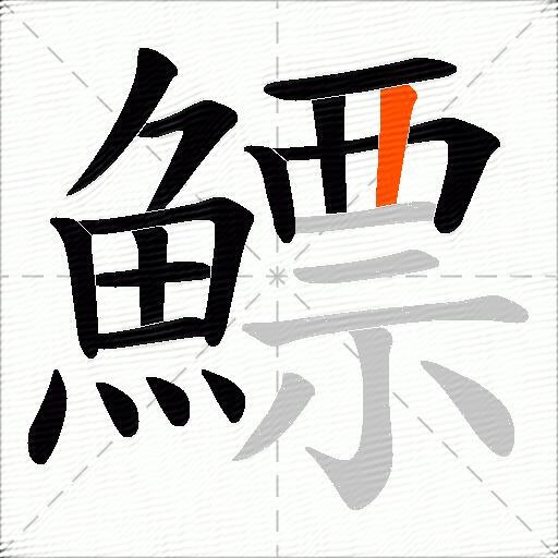 鰾