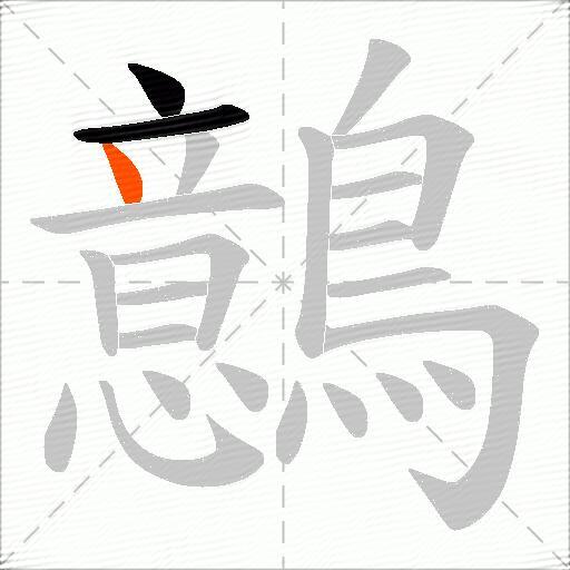 鷾