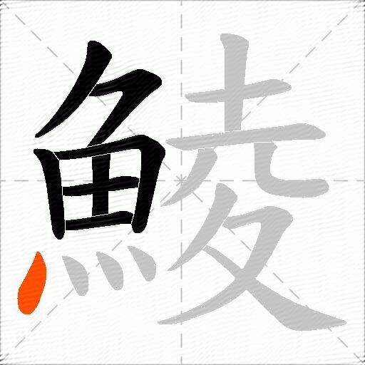 鯪