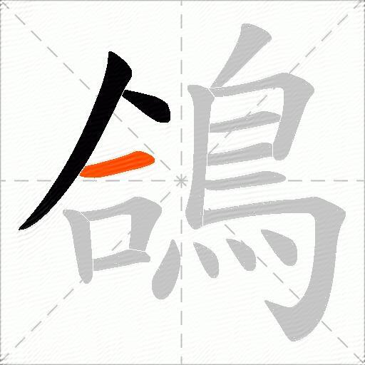鴿