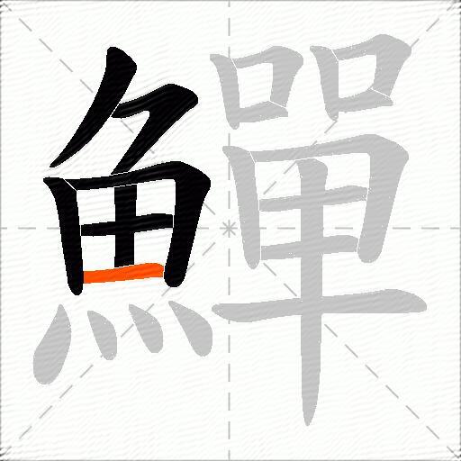 鱓