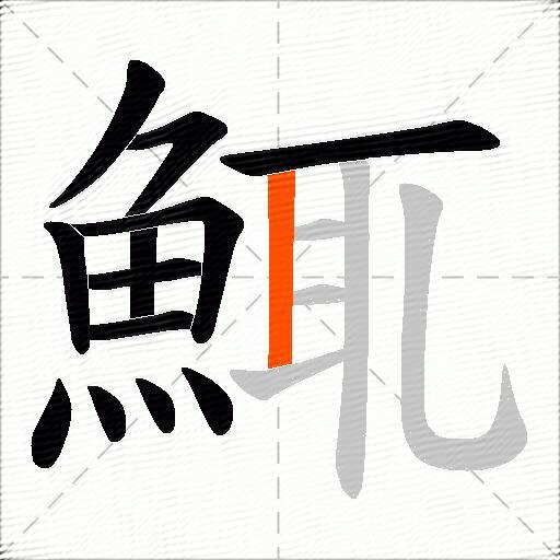 鮿