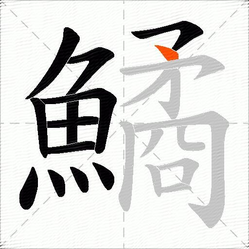 鱊