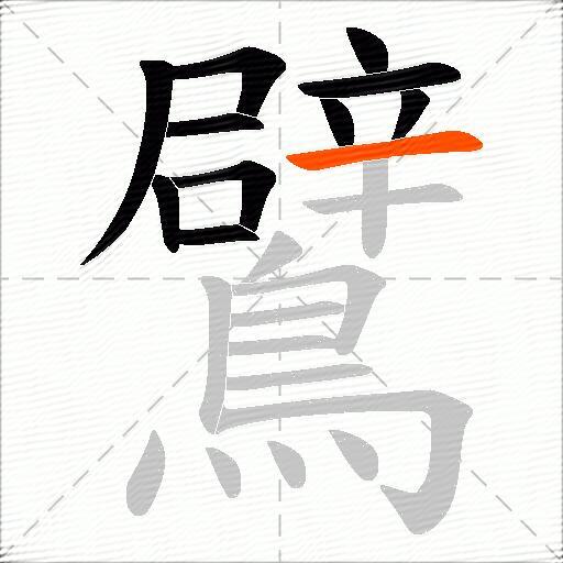 鷿