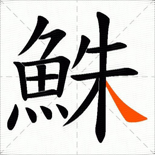 鮢