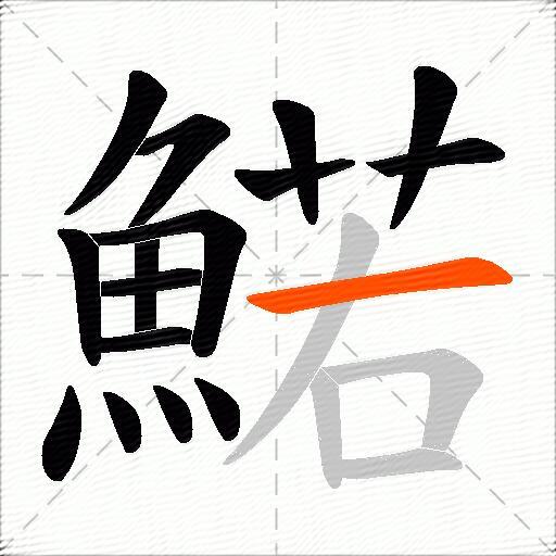 鰙