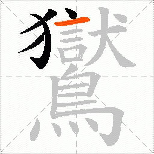 鸑
