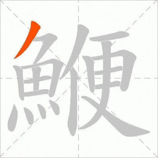 鯾