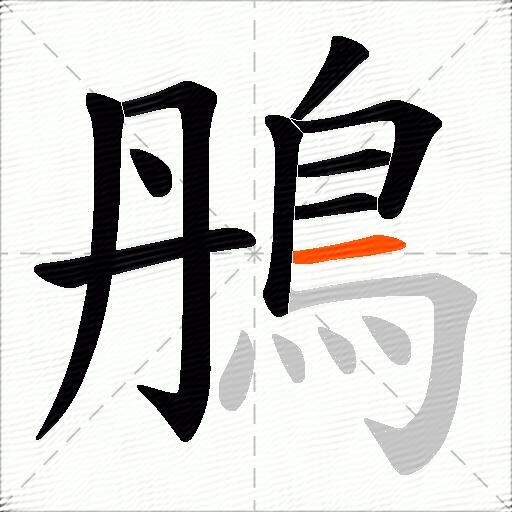 鴅