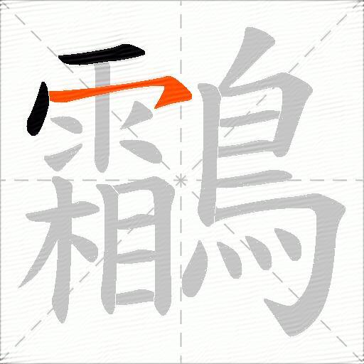 鸘