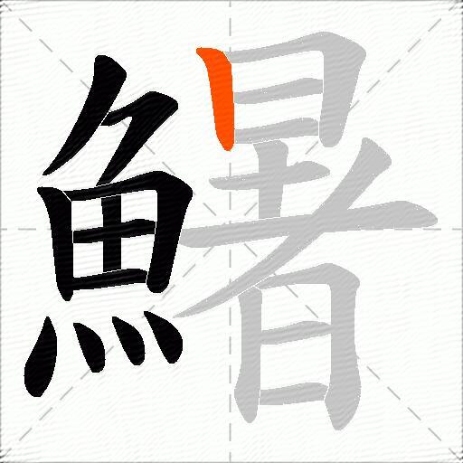 鱪