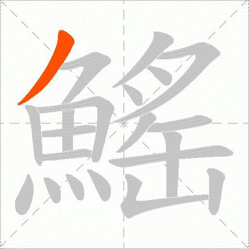 鰩