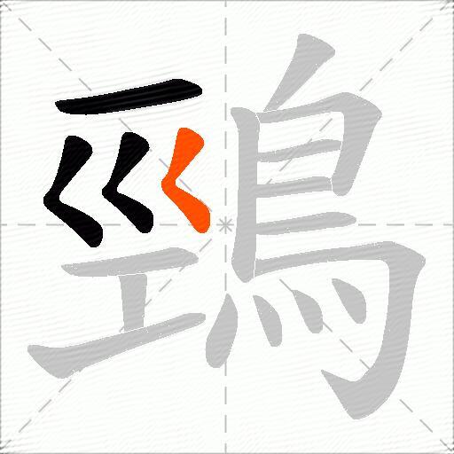 鵛