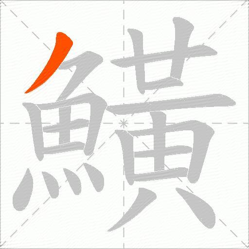 鱑
