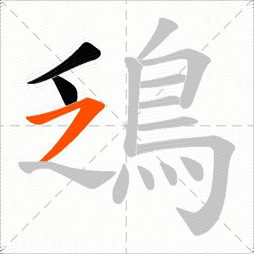 鴔