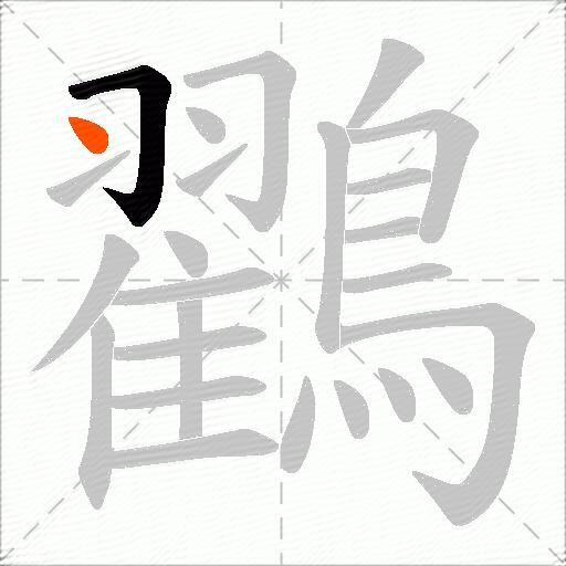 鸐