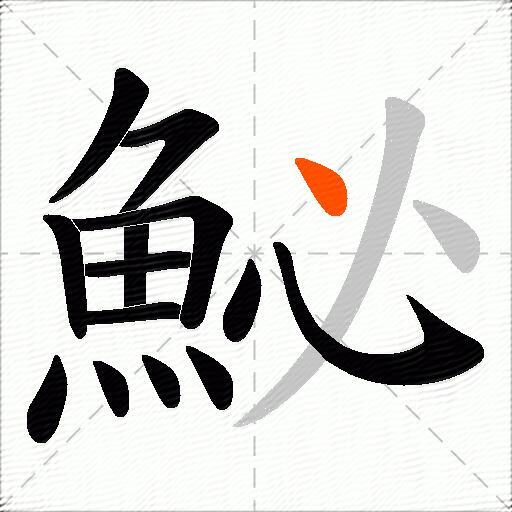 鮅