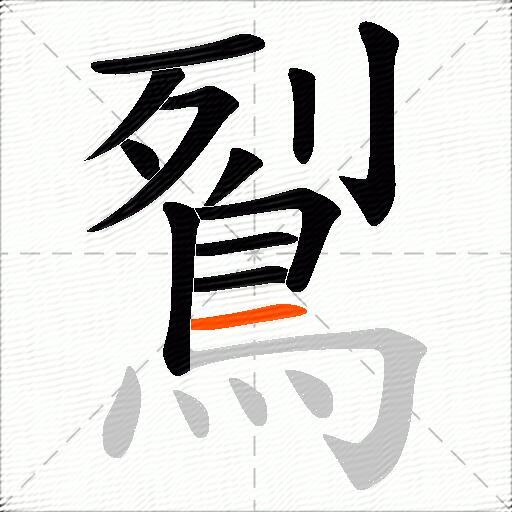 鴷