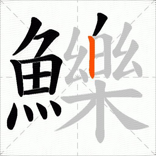 鱳