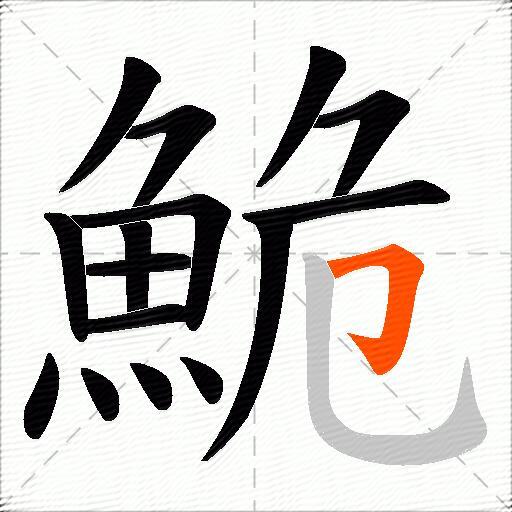 鮠
