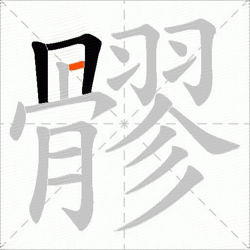 髎