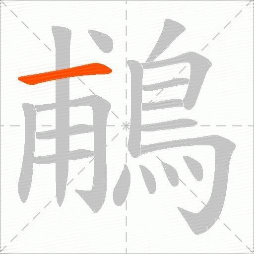 鵏