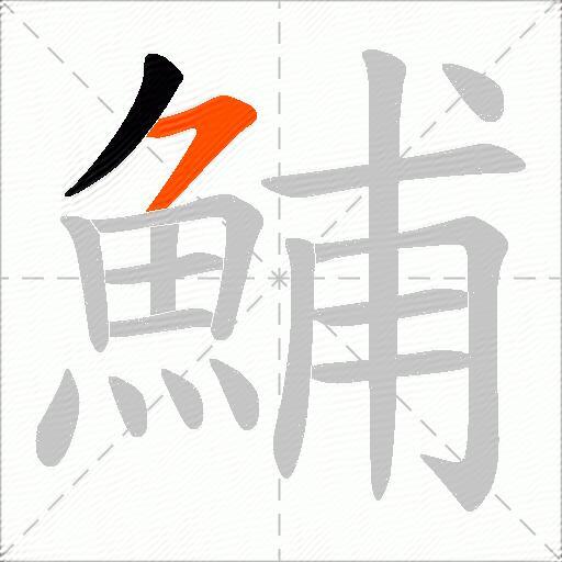 鯆
