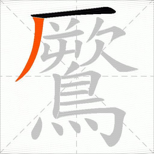 鷢