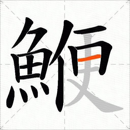 鯾
