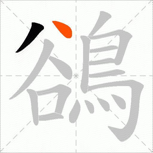 鵒