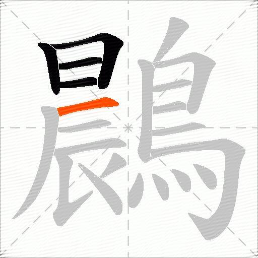 鷐