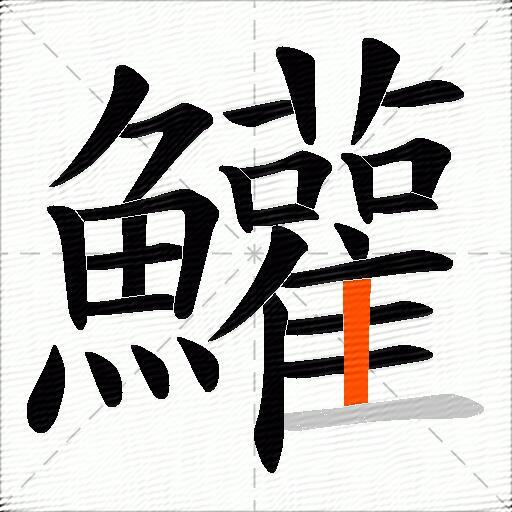 鱹