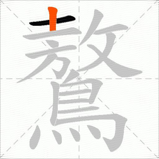 鷔