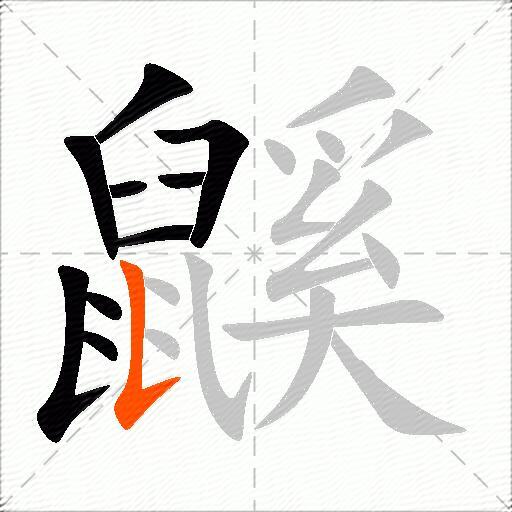 鼷