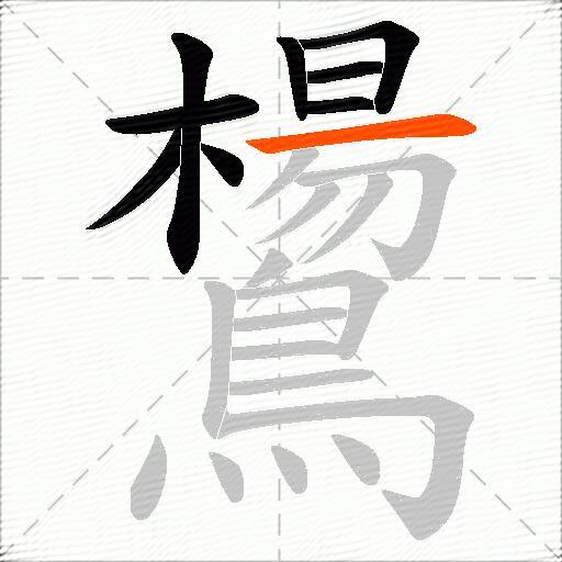 鸉