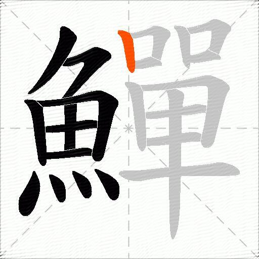 鱓
