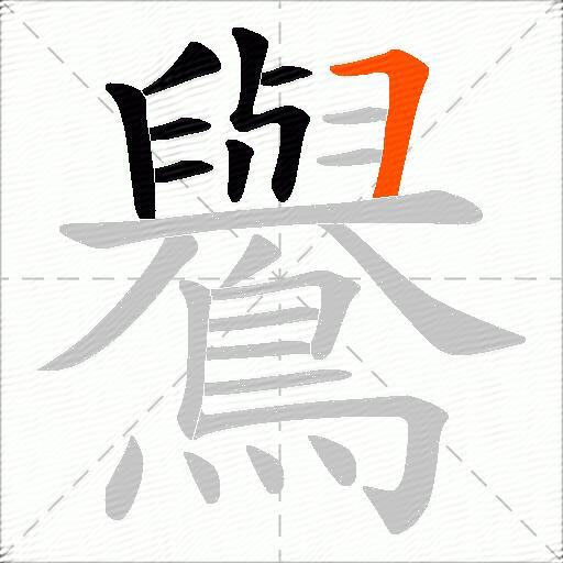 鸒