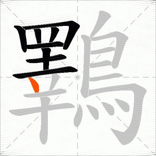 鸅