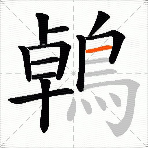 鵫